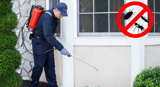 Divriği Böcek İlaçlama böcek ilaçlama ve haşere kontrolü — ilaclama-tr.com